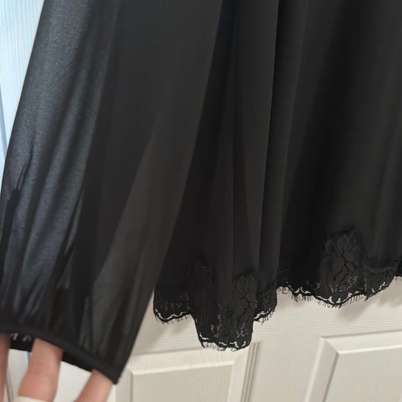 NWOT Chiffon and Lace dress - Picture 4 of 5